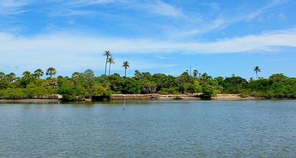 Imagem sobre Passeio de Barco